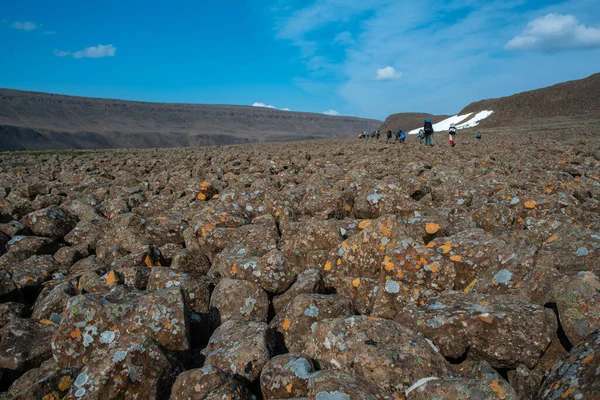 Rusya 'nın Sibirya bölgesindeki Krasnoyarsk bölgesindeki Putorana platosuna yaz aylarında seyahat edin.
