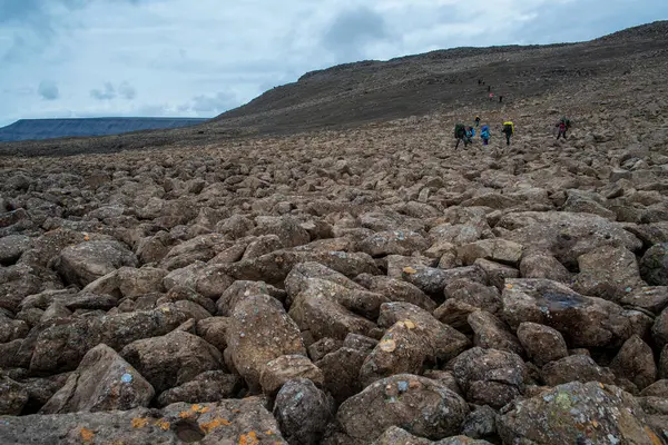 Rusya 'nın Sibirya bölgesindeki Krasnoyarsk bölgesindeki Putorana platosuna yaz aylarında seyahat edin.