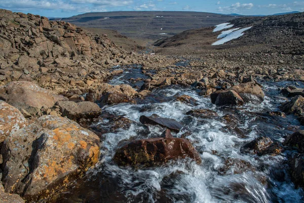 Rusya 'nın Sibirya bölgesindeki Krasnoyarsk bölgesindeki Putorana platosuna yaz aylarında seyahat edin.