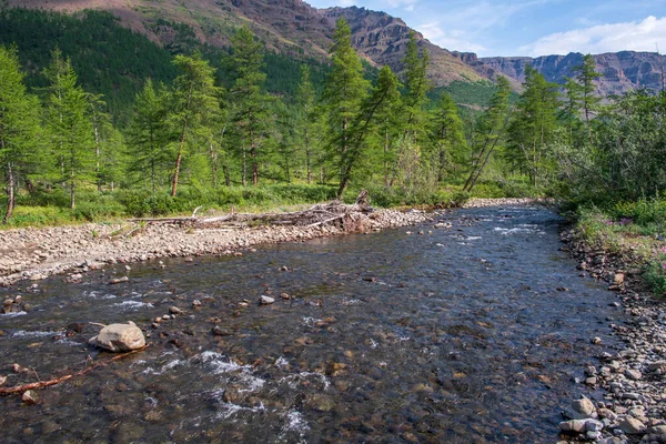 Rusya 'nın Sibirya bölgesindeki Krasnoyarsk bölgesindeki Putorana platosuna yaz aylarında seyahat edin.