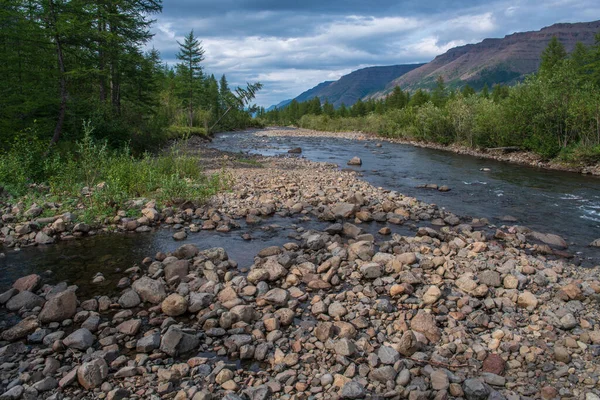 Rusya 'nın Sibirya bölgesindeki Krasnoyarsk bölgesindeki Putorana platosuna yaz aylarında seyahat edin.