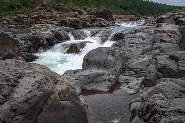 Rusya 'nın Sibirya bölgesindeki Krasnoyarsk bölgesindeki Putorana platosuna yaz aylarında seyahat edin.