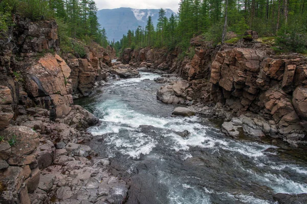Rusya 'nın Sibirya bölgesindeki Krasnoyarsk bölgesindeki Putorana platosuna yaz aylarında seyahat edin.
