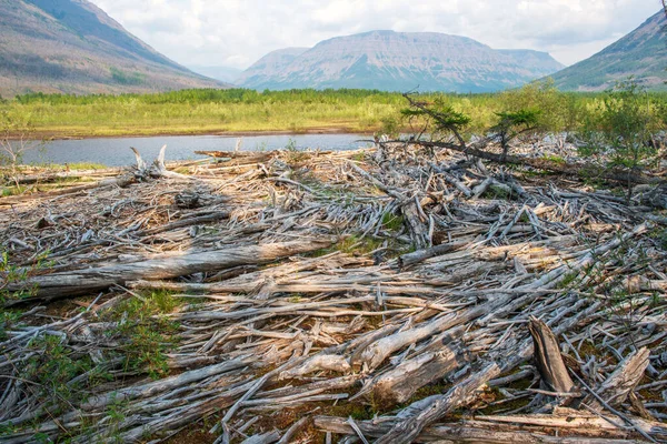 Rusya 'nın Sibirya bölgesindeki Krasnoyarsk bölgesindeki Putorana platosuna yaz aylarında seyahat edin.