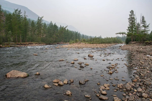 Rusya 'nın Sibirya bölgesindeki Krasnoyarsk bölgesindeki Putorana platosuna yaz aylarında seyahat edin.