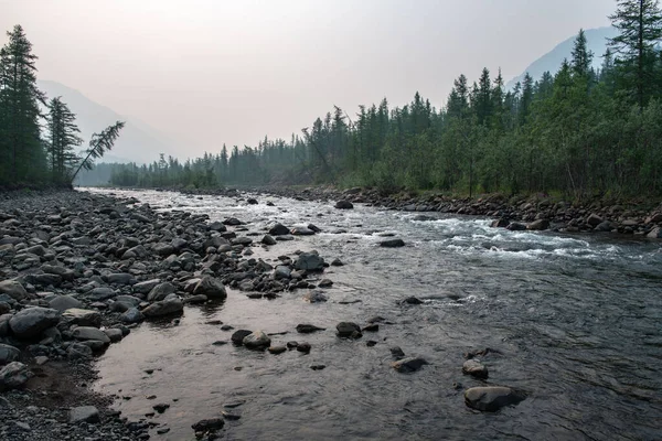 Rusya 'nın Sibirya bölgesindeki Krasnoyarsk bölgesindeki Putorana platosuna yaz aylarında seyahat edin.