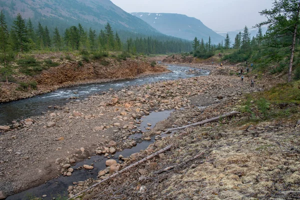 Rusya 'nın Sibirya bölgesindeki Krasnoyarsk bölgesindeki Putorana platosuna yaz aylarında seyahat edin.