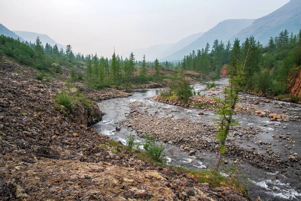 Rusya 'nın Sibirya bölgesindeki Krasnoyarsk bölgesindeki Putorana platosuna yaz aylarında seyahat edin.