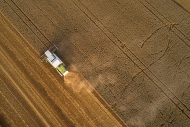 Havadan görünümü Birleştir hasat üzerinde buğday günbatımında toplar. H