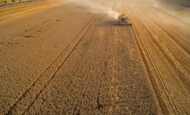 Havadan görünümü Birleştir hasat üzerinde buğday günbatımında toplar. H