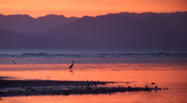 Pacific Coast Tarcoles bir akşam görünümünü dalgalara karşı bir dağlık ada ışıltılı batan güneşin tarafından yaktı. Küçük göle heron silüeti. Cennet manzara. Tarcoles, Kosta Rika.
