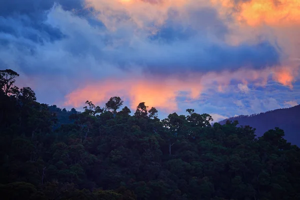'S avonds uitzicht over de Costa Ricaanse bergen, Cerro de la Muerte met een vulkaan in de wolken, verlicht door de ondergaande zon. Berg de landascape. Nationaal Park Los Quetzales natuurreservaat. Costa Rica. — Stockfoto