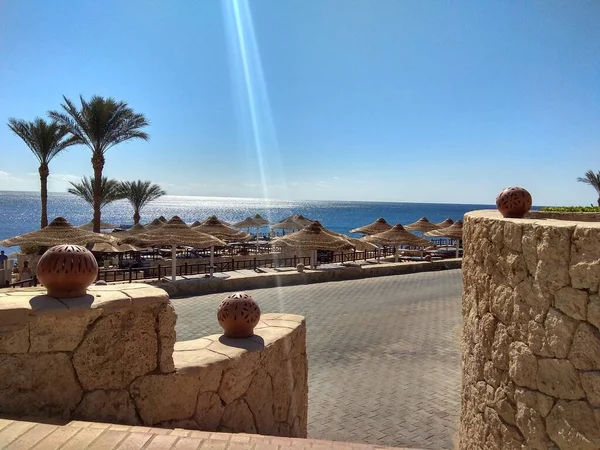 Muhteşem deniz manzarası, Mısır, güzel hava, kızıl deniz ve büyük palmiye ağaçları.