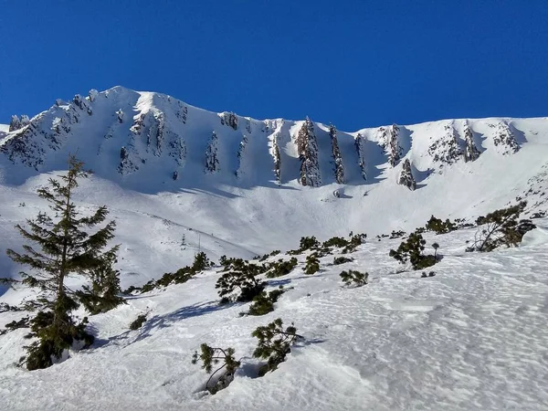 Fantastiska Bergklippor Vackert Vinterväder Och Fantastisk Utsikt — Stockfoto
