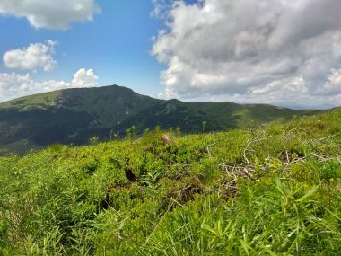 Muhteşem dağ tepeleri, güzel yaz havası ve harika manzara.