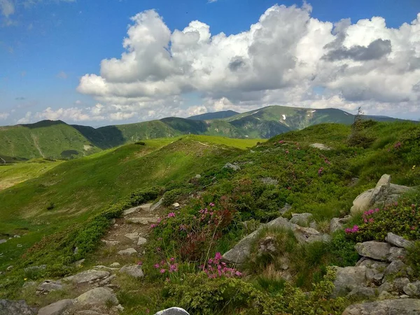 Muhteşem dağ tepeleri, güzel yaz havası ve harika manzara.