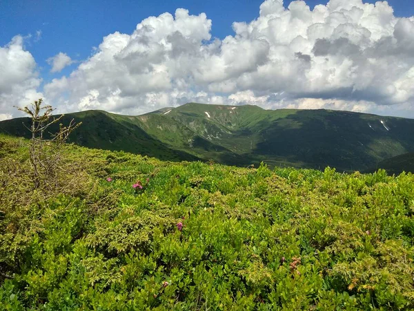 Montanhas Incríveis Belo Clima Verão Ótima Vista — Fotografia de Stock