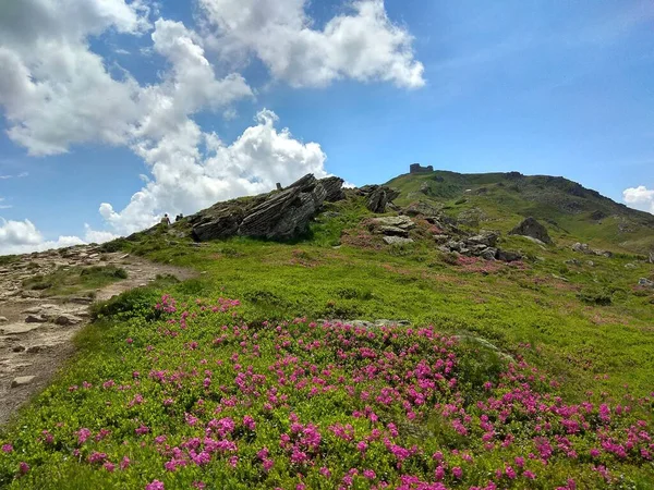 Muhteşem dağ tepeleri, güzel yaz havası ve harika manzara.