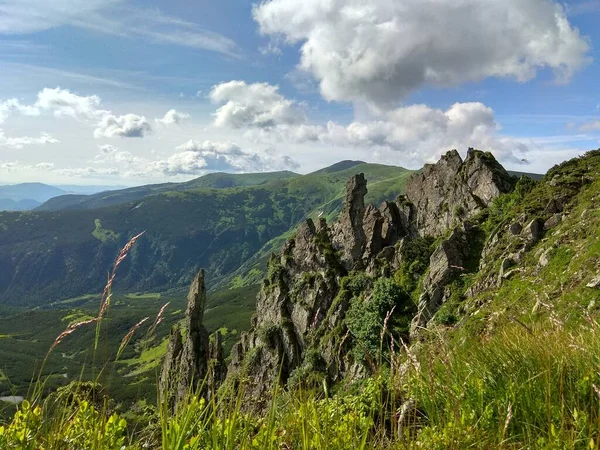 İnanılmaz dağ kayaları, güzel çiçekler ve harika bir manzara.