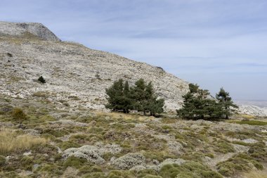 Doğal Park Sierras de Tejeda, Almijara ve Alhama, Andalusia