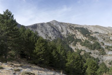 Natural Park Sierras de Tejeda, Almijara and Alhama, Andalusia clipart