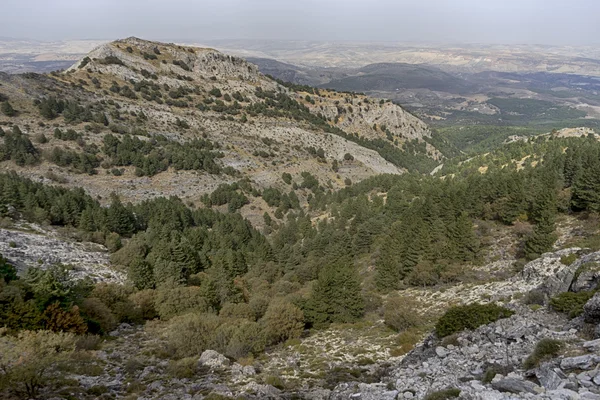 Parque Natural Sierras Tejeda Almijara Alhama Andalucía —  Fotos de Stock