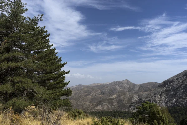 Natural Park Sierras Tejeda Almijara Alhama Sierra Jatar Andalucia — Stock Photo, Image