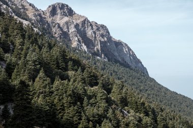 Sierra de Grazalema doğal parkı Cadiz, İspanya