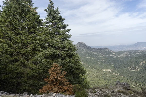 O parque natural Sierra de Grazalema em Cádiz, Espanha — Fotografia de Stock