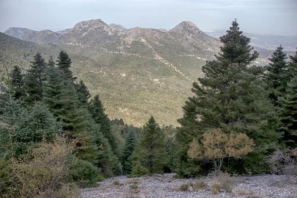 Der Naturpark Sierra de Grazalema in Cadiz, Spanien — Stockfoto