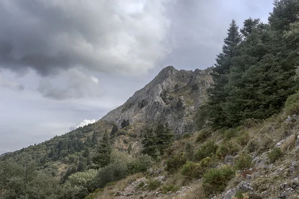 Der Naturpark Sierra de Grazalema in Cadiz, Spanien — Stockfoto