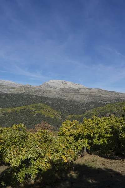 Wunderschöne Naturlandschaften Spaniens, in der Provinz Mlaga, andalusisches Genal-Tal — Stockfoto