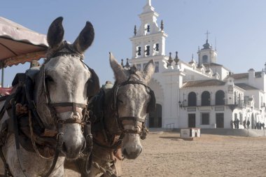 Hermitage El Rocio ile ilgili bu madde içinde