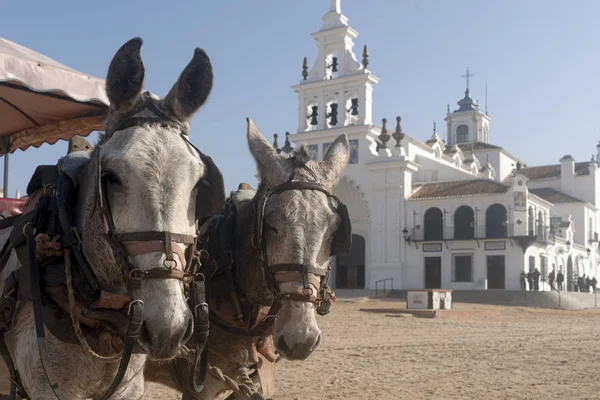 Hermitage of El Rocio in the province of Huelva — Stock Photo, Image