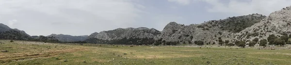 Los Llanos Libar Doğal Park Grazalema Andalusia Içinde Panoramik Manzaralı — Stok fotoğraf