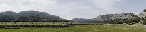 Панорамний Вид Лос Llanos Libar Андалусії Природний Парк Андалуського — стокове фото