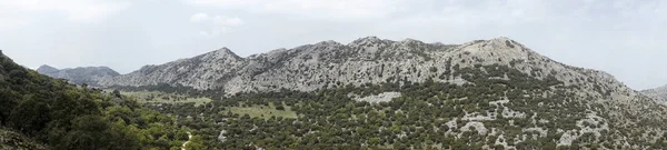 Llanuras Del Republicano Parque Natural Grazalema Andalucía — Foto de Stock