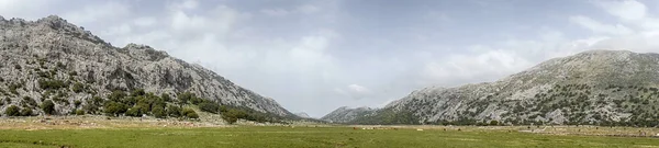 Vista Panorâmica Los Llanos Libar Parque Natural Grazalema Andaluzia — Fotografia de Stock