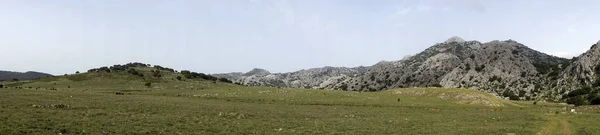 Равнина Республиканцев Природном Парке Гразалема Андалусия — стоковое фото