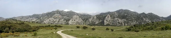 Planície Republicano Parque Natural Grazalema Andaluzia — Fotografia de Stock