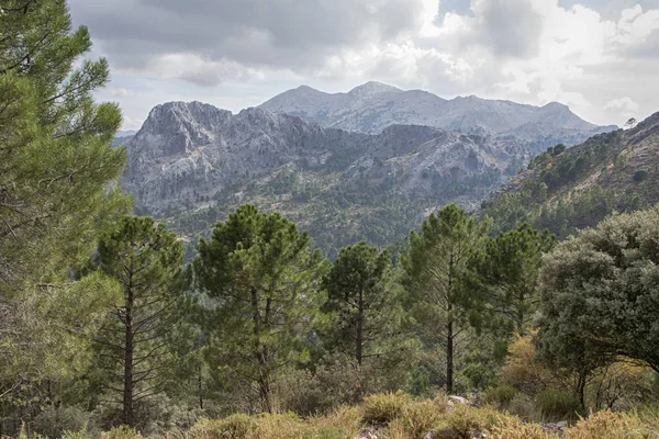 Sierra Grazalema Természeti Parkban Található Cádiz Tartományban Található Andalúzia Spanyolország — Stock Fotó