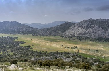 Grazalema, Andalusia doğal park Llanos de Libar
