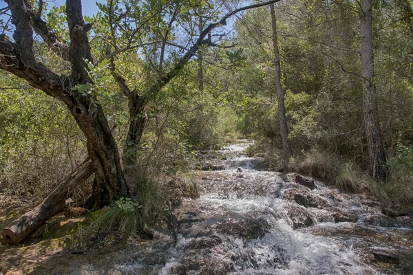 Natuur Landschap Van Sierra Blanca Marbella — Stockfoto