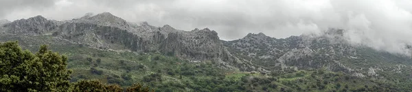 Хороший День Природном Парке Гразалема Провинции Кадис Андалусия Испания — стоковое фото