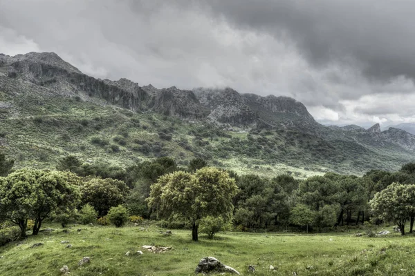 Dia Agradável Cinza Chuvoso Parque Natural Grazalema Província Cádiz Andaluzia — Fotografia de Stock