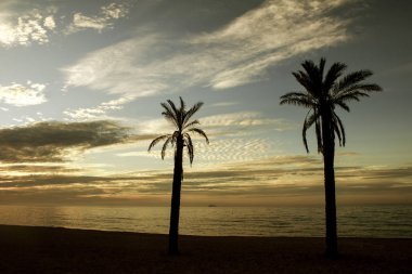 Andalucia Marbella Sahil güzel sunrise