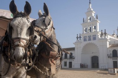 Hermitage El Rocio ile ilgili bu madde içinde