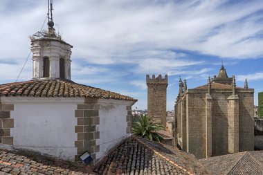 Cceres şehir eski sokaklarında aylak aylak dolaşıyor