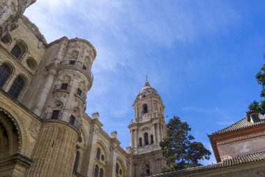 Kuzey Kulesi Andalusia Malaga Katedrali