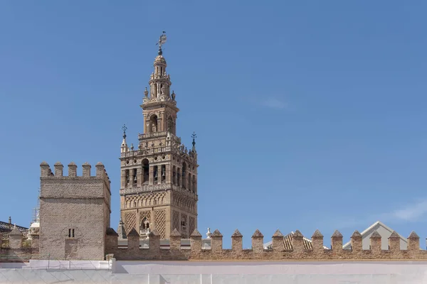 Uitzicht Giralda Sevilla Vanaf Patio Van Oranje — Stockfoto